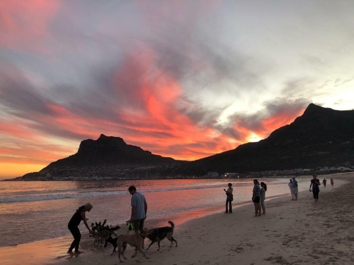 Studio On Albert, Hout Bay Kültér fotó